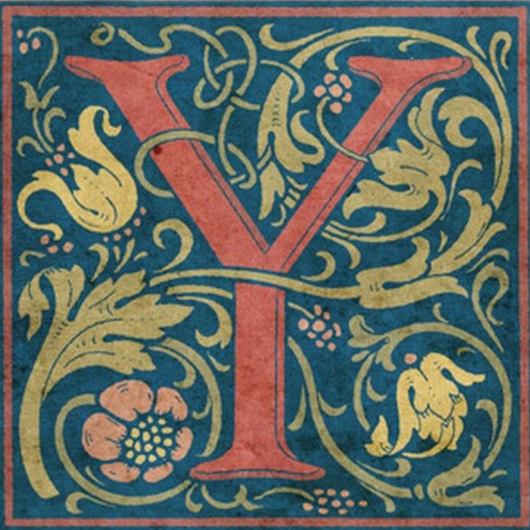 Y